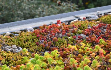 the cost of Beaghmore green roof installation